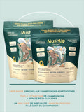 detox avantages champignons mushroom coffee