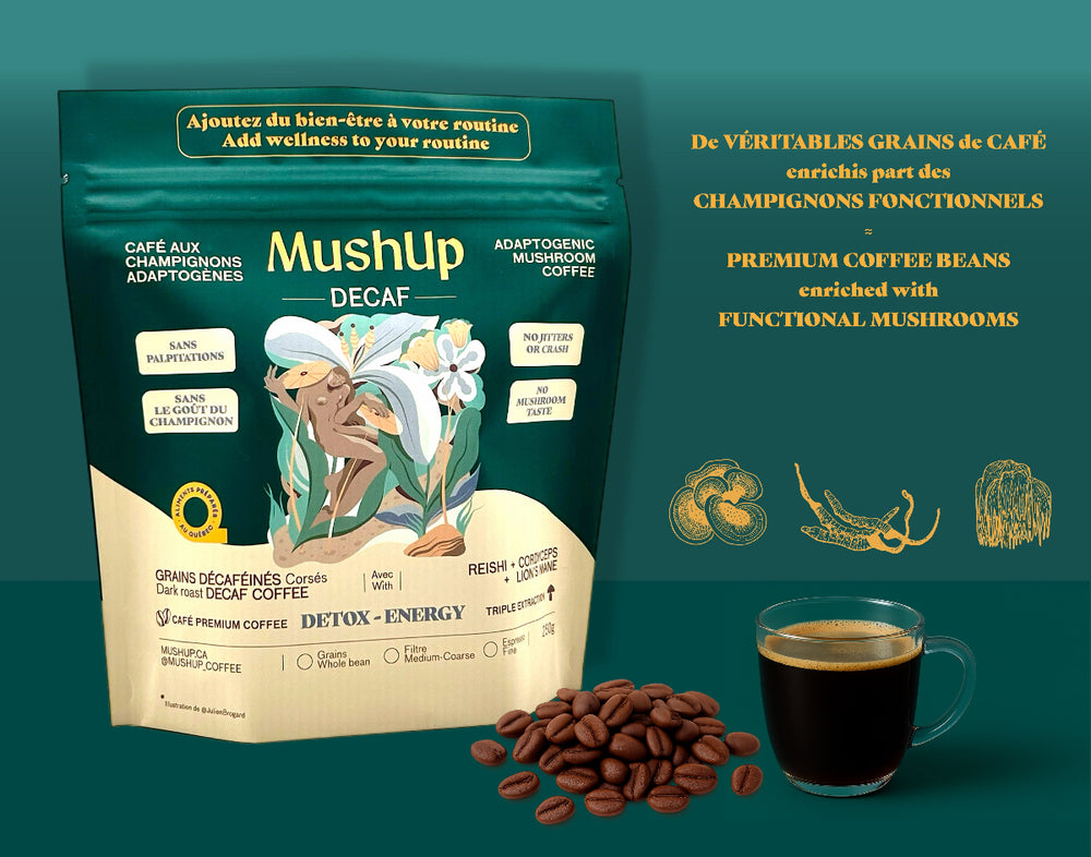 décaféiné mushroom coffee reishi cordyceps énergie lion's mane sac 250g