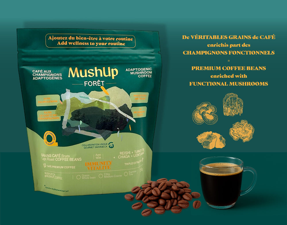 FORET GOURMET CAFÉ CHAGA lion's mane mushroom coffee