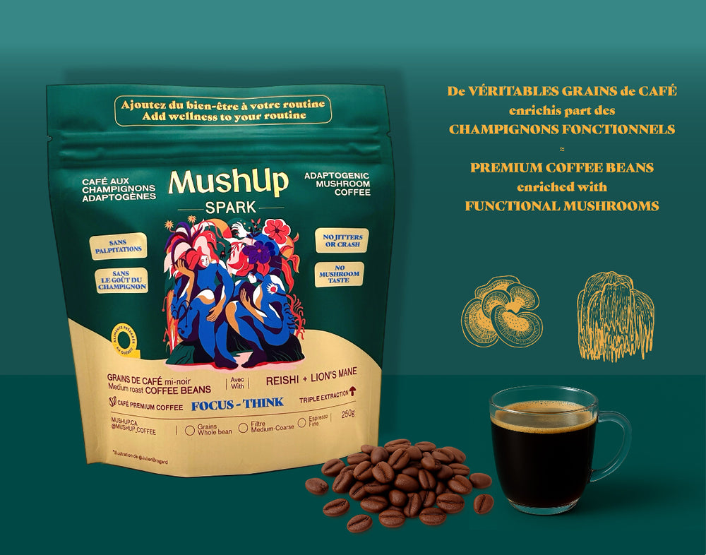 SPARK coffee mushroom lion's mane reishi bag sac 250g