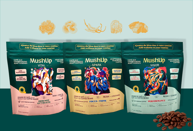 SPARK VITAL VIGOR mushroom coffee beans