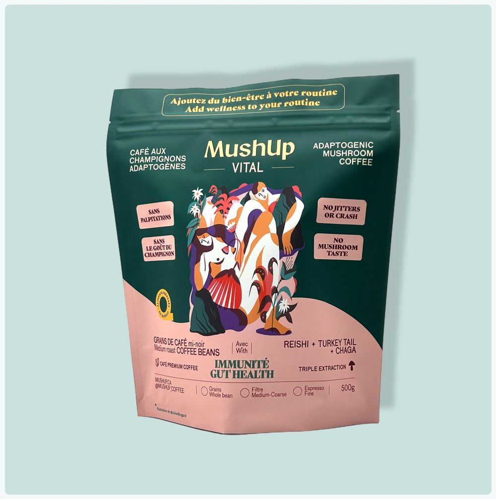 sac 500g Digestion immunité vitalité champignon mushroom coffee
