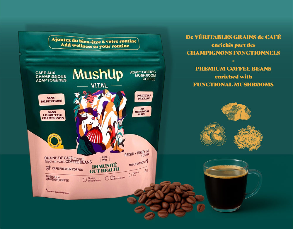 café champignons mushrooms reishi chaga turkeytail